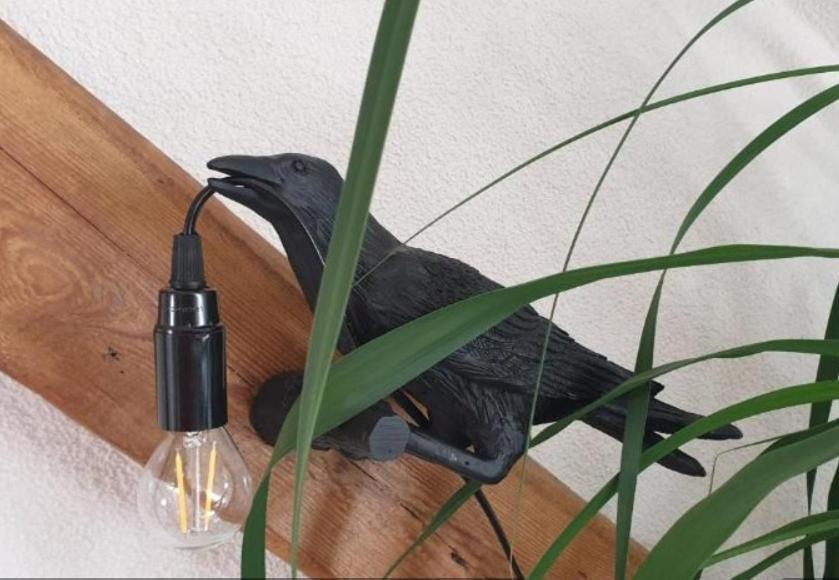 Seensucht & Urlaubstraeume, Ferienwohnung "Strand-Gefluester" Зенфтенберг Экстерьер фото